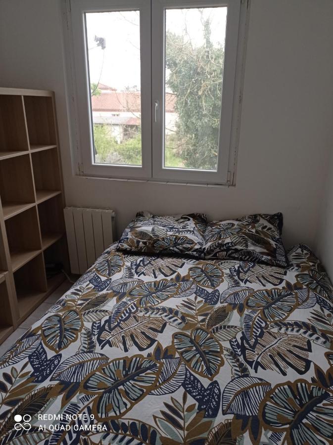 Studio Efficace, Calme Et Comfortable Lägenhet Albi Exteriör bild